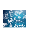 Coperchio fish 1701s pz50
