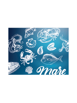 Coperchio fish 851s pz50