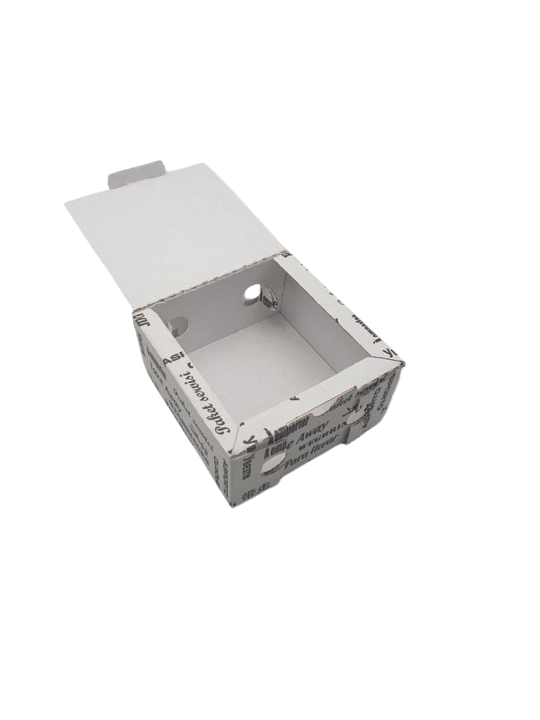 Box hamburger 15,5x15,5 h12 pz100