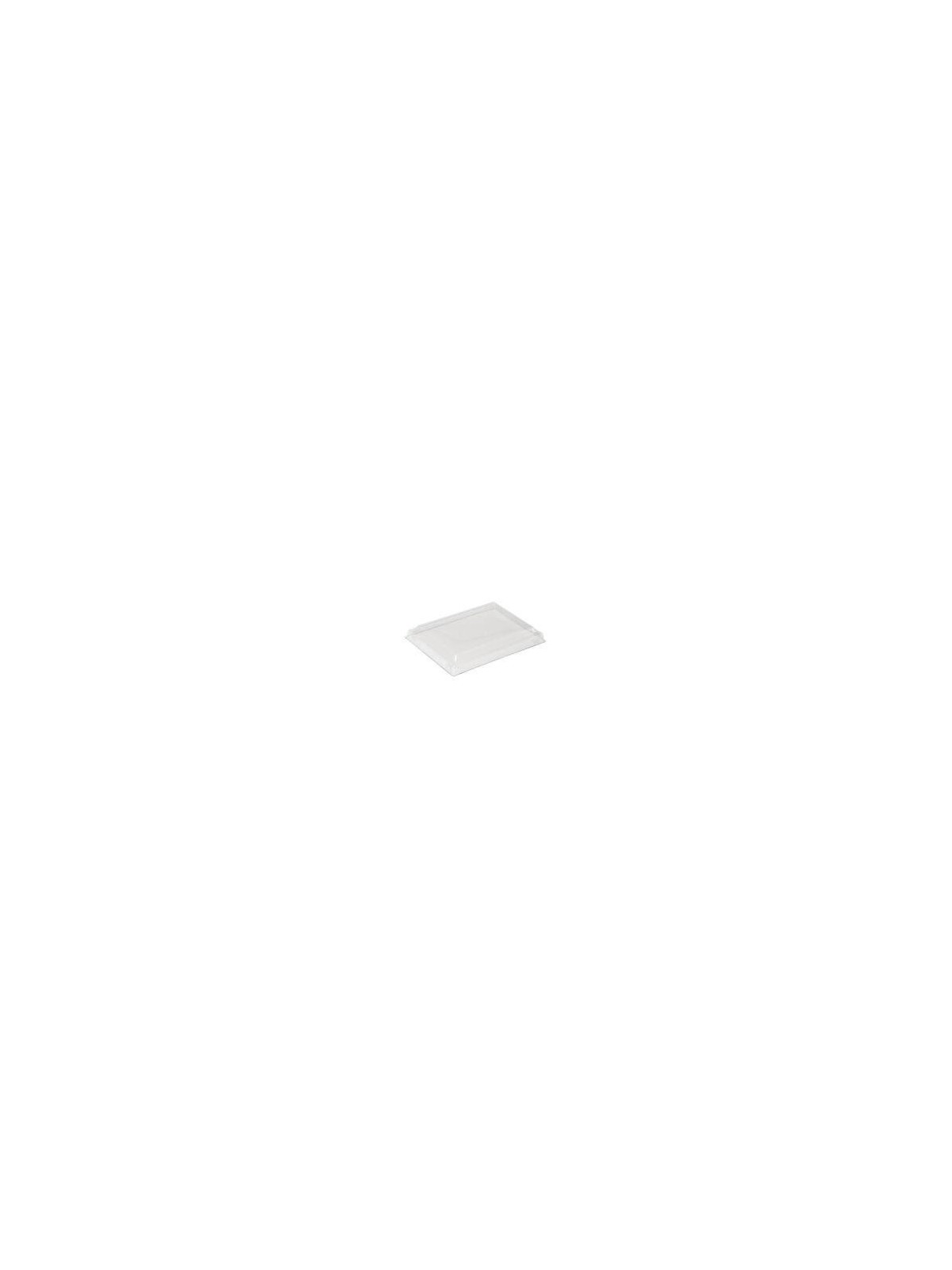 Coperchio trasparente no fog 17x13 pz20 x24cf