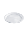 Piatti piani pp pz 25x 18cf