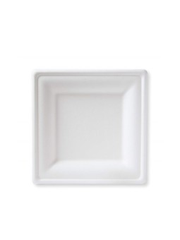 Piatto quadro in polpa 20x20 pz20 x24cf