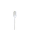 Cucchiaio CPLA style 16,5cm pz50 x20cf